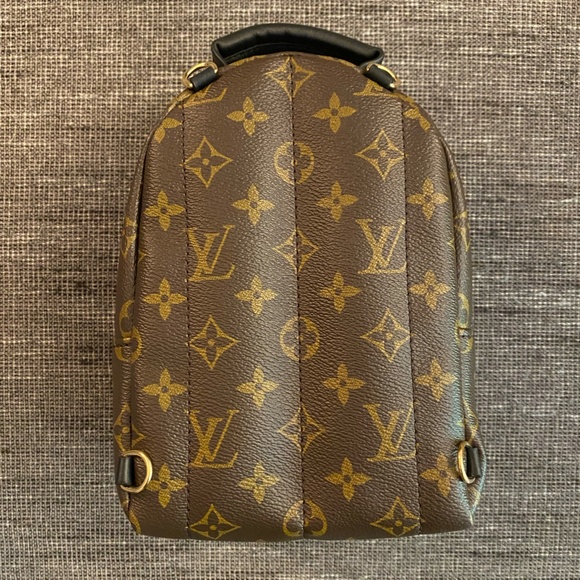 Louis Vuitton | Palm Springs Mini main image 10